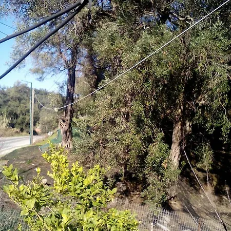 Kastri Holiday home