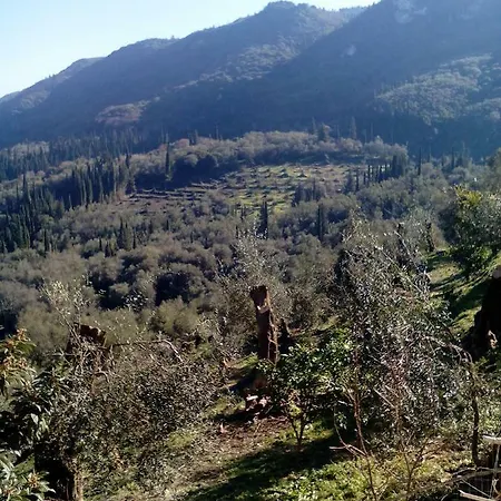 Kastri *